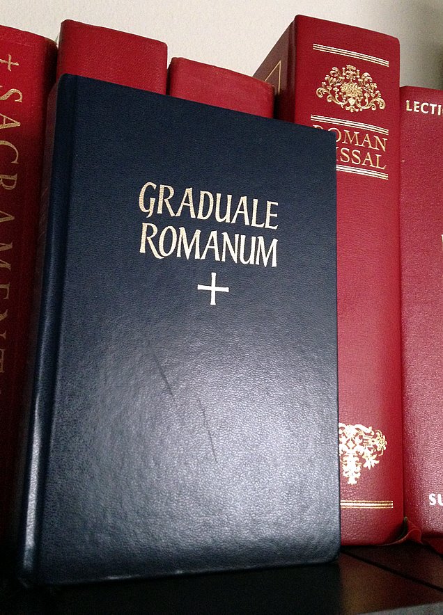 WhatsApp Image 2019-07-24 at 13.46.36(1)_1